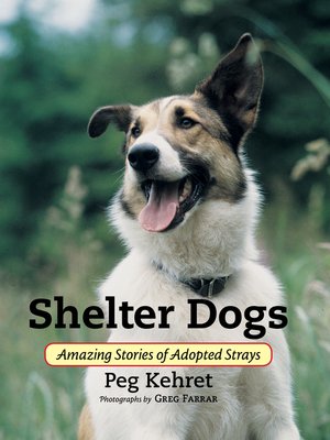 cover image of Shelter Dogs